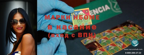 индика Наволоки