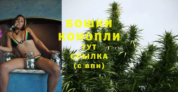 винт Надым