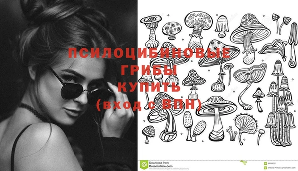 винт Надым