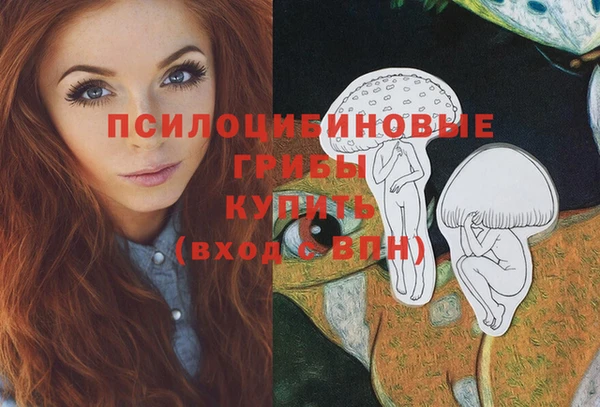 винт Надым