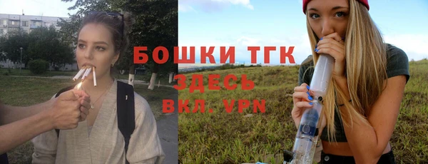 тгк Каменск-Шахтинский