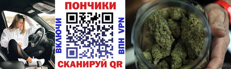 Шишки марихуана MAZAR  Сычёвка 